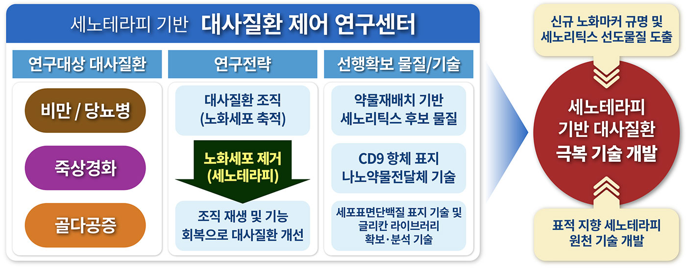 세노테라피 기반 대사질환 제어 연구센터 개요