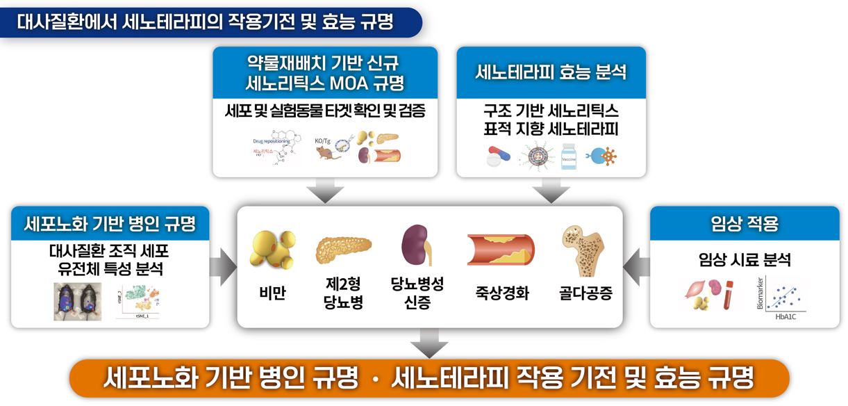 연구소 비전, 최종목표, 1/2/3그룹별